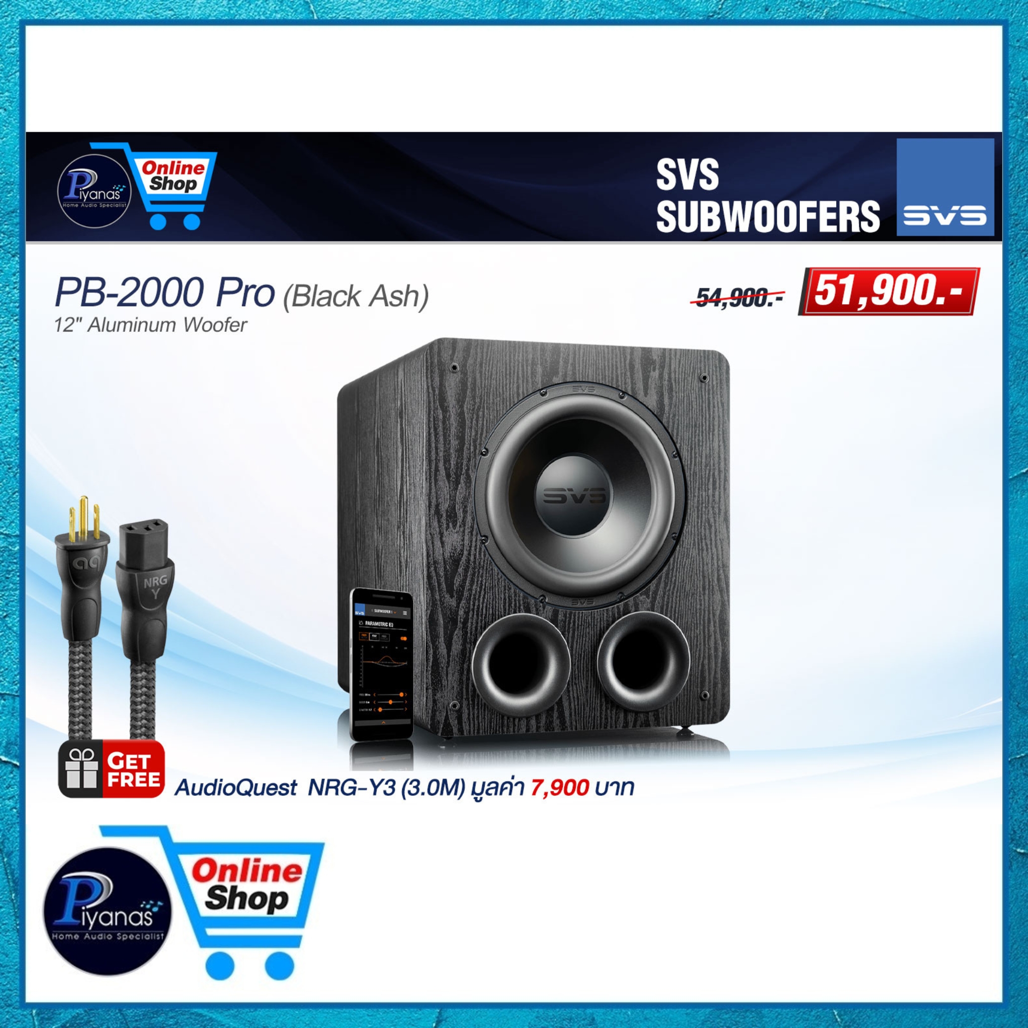 ซับวูฟเฟอร์ SVS : PB-2000 PRO (BLACK ASH)_5